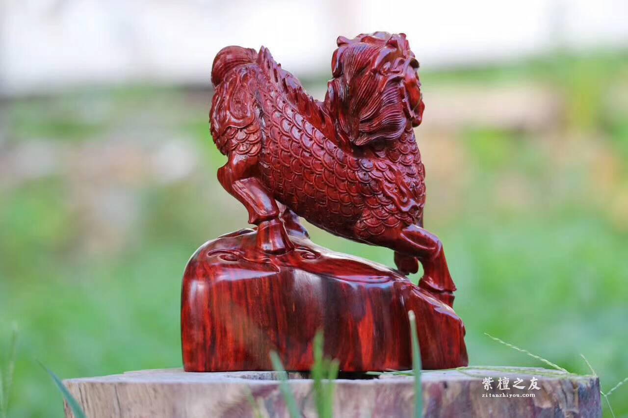 小叶紫檀雕刻品《麒麟》摆件 精美霸气工艺精湛-7