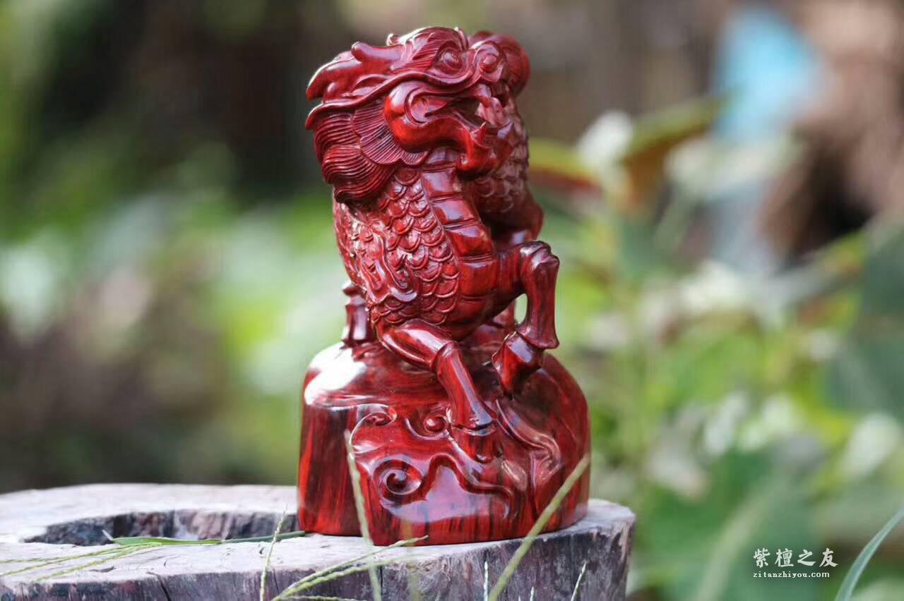 小叶紫檀雕刻品《麒麟》摆件 精美霸气工艺精湛-8