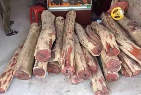 细说小叶紫檀的火焰纹