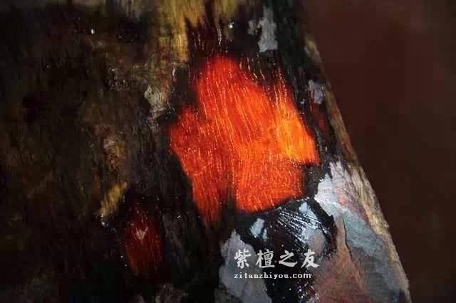 细说小叶紫檀的火焰纹-3