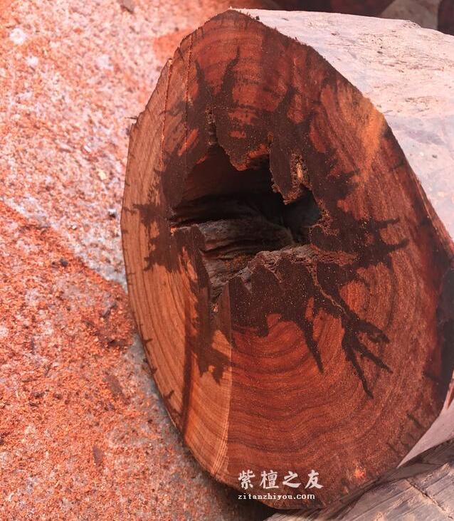 福建仙游榜头--全国知名红木批发集散地-11