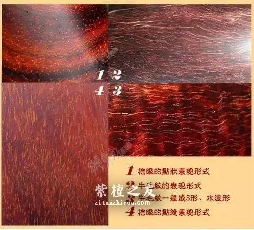 什么是“二号檀”？详解科檀、非洲小叶紫檀（光亮杂色豆）-4