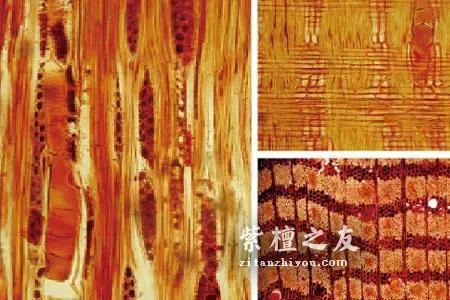 什么是“二号檀”？详解科檀、非洲小叶紫檀（光亮杂色豆）-10