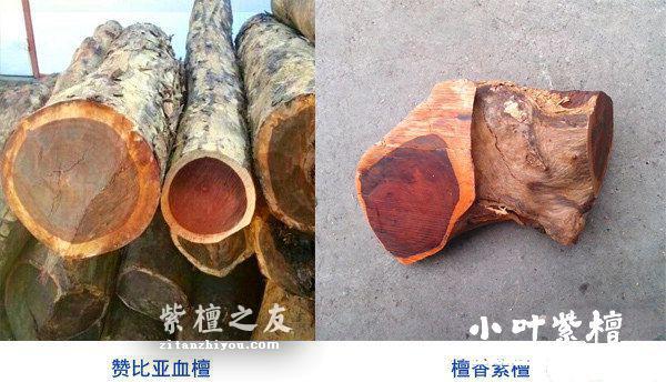 商家究竟是如何伪造小叶紫檀手串的？-2