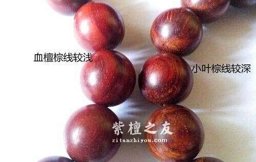 血檀和小叶紫檀的区别-2