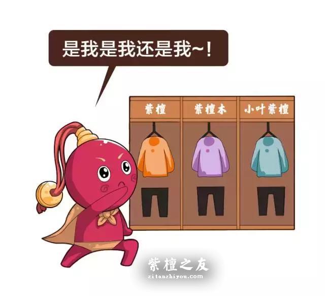 紫檀、紫檀木、小叶紫檀是一样的吗？-3