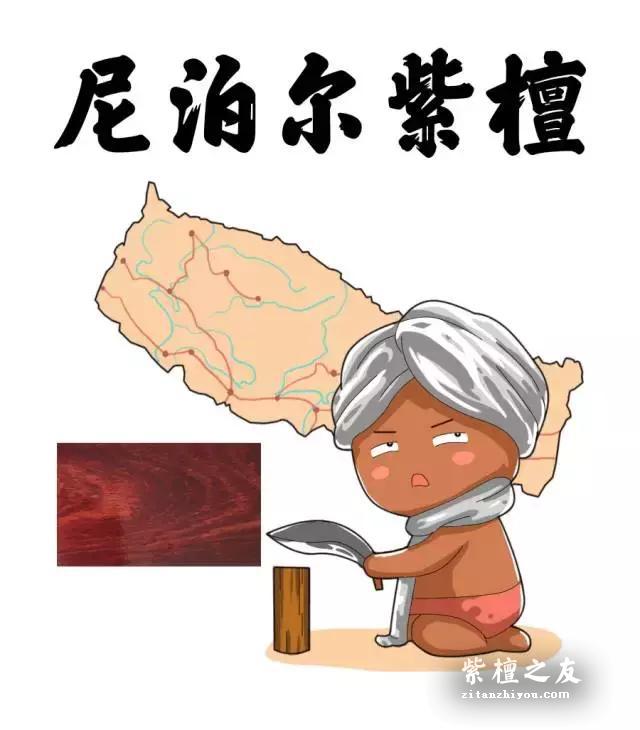 紫檀、紫檀木、小叶紫檀是一样的吗？-5