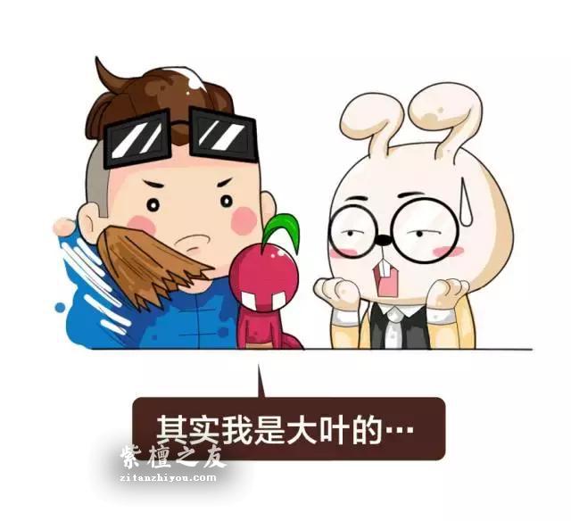 紫檀、紫檀木、小叶紫檀是一样的吗？-11