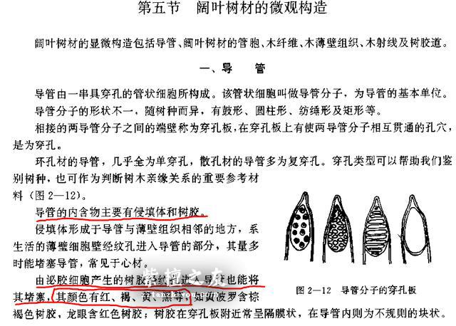 印度小叶紫檀手串牛毛纹里的黑色物质是什么？-9