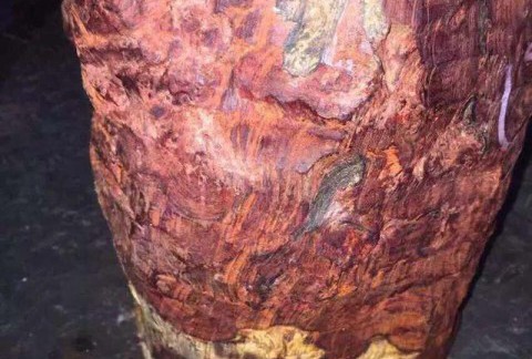 瘤疤老料：震动紫檀界的顶级木料