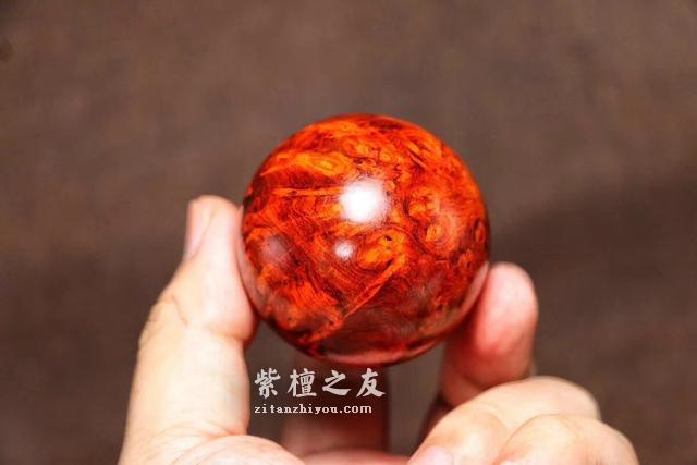 4个方面，教你了解紫檀-3