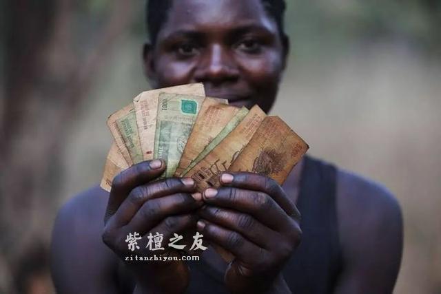 流血的檀木---这些濒危的血色交易-6