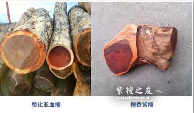 造假紫檀手串曝光后还在卖，每日车制几十万条，赚的全是高额利润-2