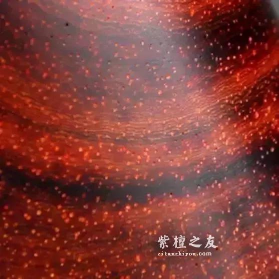 美炸了！紫檀纹理在各种切面的形态！-10