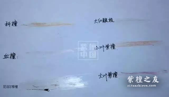 关于小叶紫檀的鉴别方法的一些辨析-2