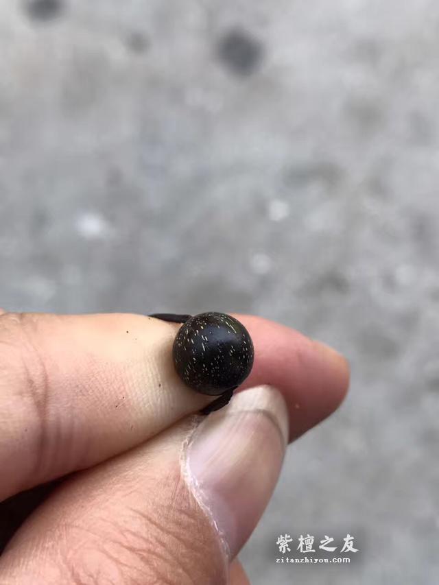 带你领略一种市场上出现最多的假紫檀！-19