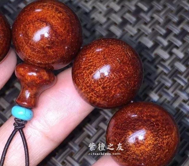 小叶紫檀为何要晒太阳？-1