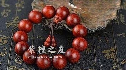 小叶紫檀为何要晒太阳？-3