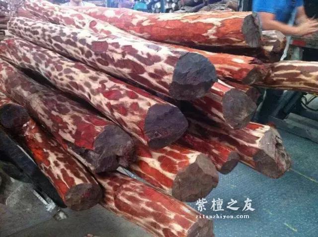 血檀VS紫檀，本是同根生，相煎何太急？-3