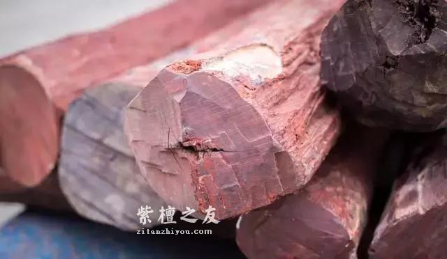 血檀VS紫檀，本是同根生，相煎何太急？-1