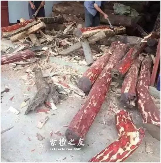 血檀VS紫檀，本是同根生，相煎何太急？-2