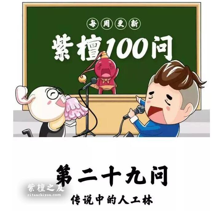 印度大规模种植紫檀人工林，小叶紫檀手串要降价了吗？-1