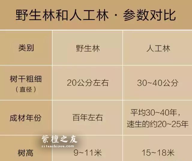 印度大规模种植紫檀人工林，小叶紫檀手串要降价了吗？-4