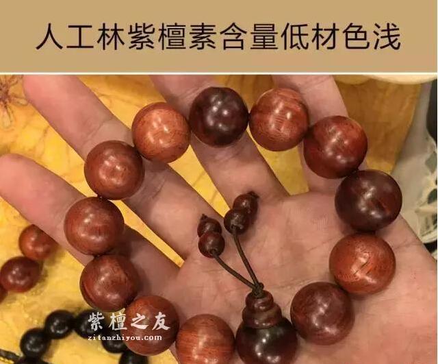 印度大规模种植紫檀人工林，小叶紫檀手串要降价了吗？-7