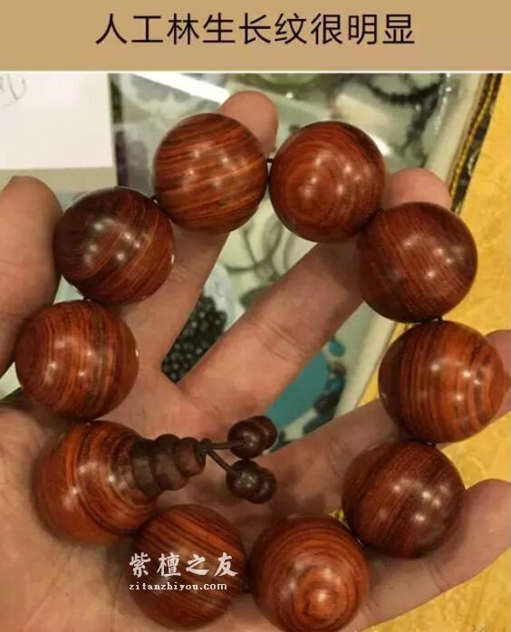 印度大规模种植紫檀人工林，小叶紫檀手串要降价了吗？-8
