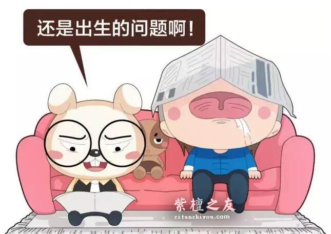 印度大规模种植紫檀人工林，小叶紫檀手串要降价了吗？-13
