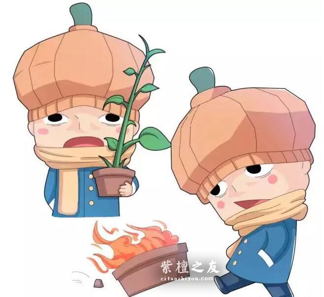 小叶紫檀的冬季保养，一定要学吆-2