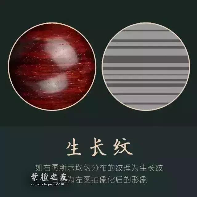 小叶紫檀怎么认？掌握这些方法新手也能上路-2