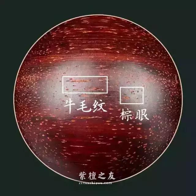 小叶紫檀怎么认？掌握这些方法新手也能上路-1