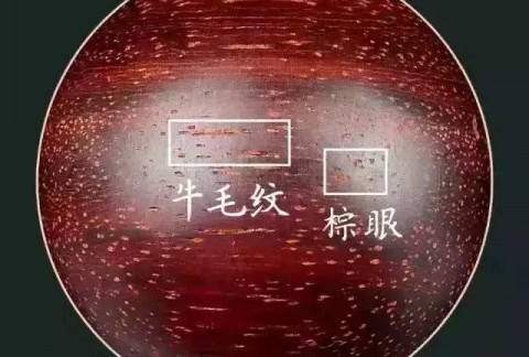 小叶紫檀怎么认？掌握这些方法新手也能上路