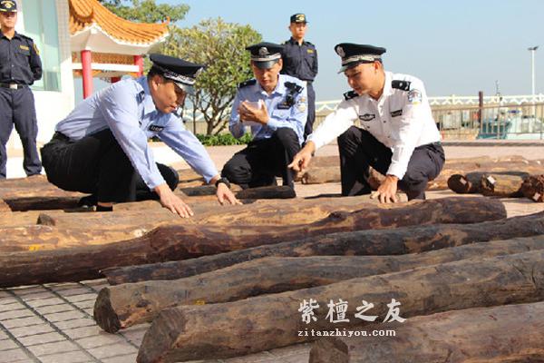 利用快艇偷运珍稀木材 广州海关截获走私小叶紫檀1.23吨-2