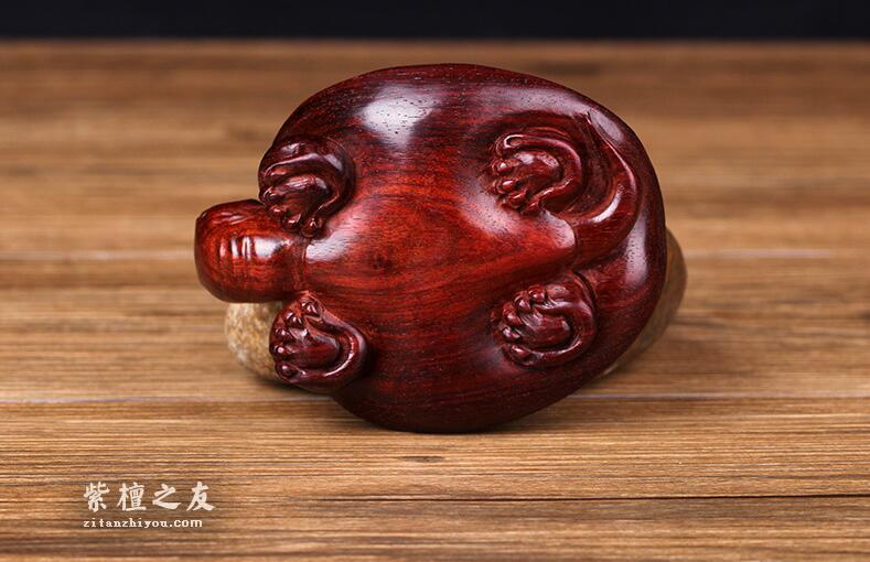 印度小叶紫檀乌龟摆件 纯手工雕刻 老料高油-4
