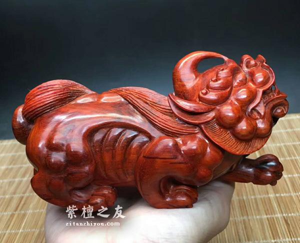小叶紫檀是什么味道？巧克力味还是檀香味？-2