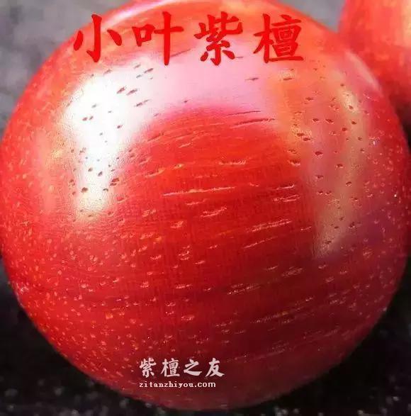 紫檀和血檀最有效的鉴别方法是？-4