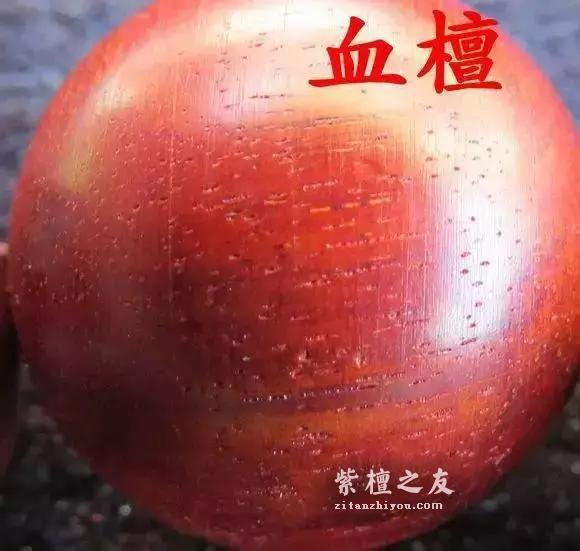紫檀和血檀最有效的鉴别方法是？-3