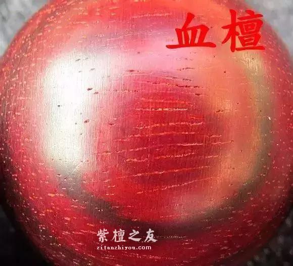 紫檀和血檀最有效的鉴别方法是？-2