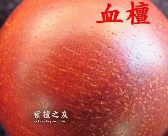 紫檀和血檀最有效的鉴别方法是？-1