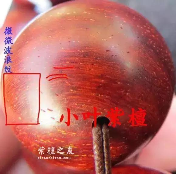 紫檀和血檀最有效的鉴别方法是？-6
