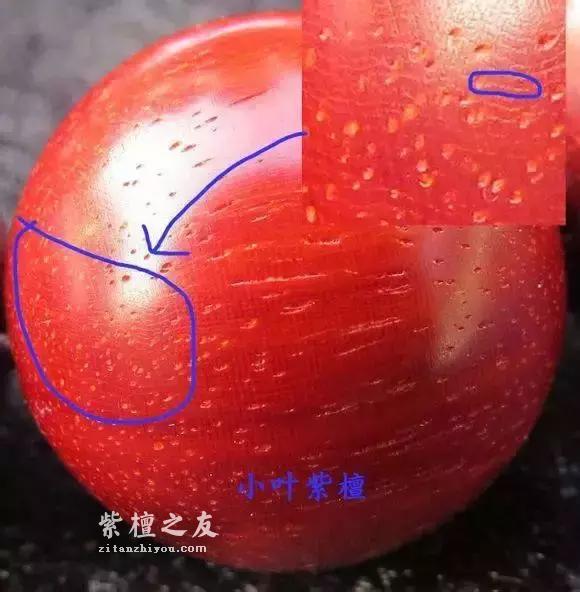紫檀和血檀最有效的鉴别方法是？-5
