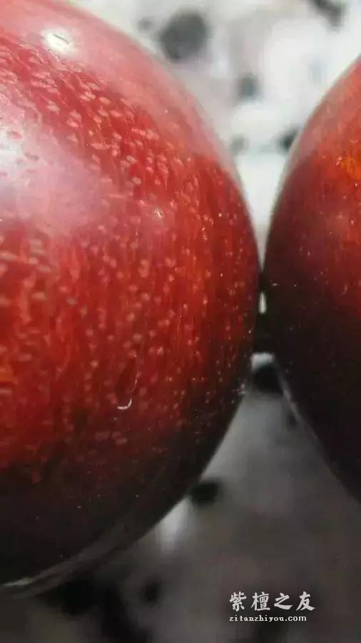 紫檀和血檀最有效的鉴别方法是？-13