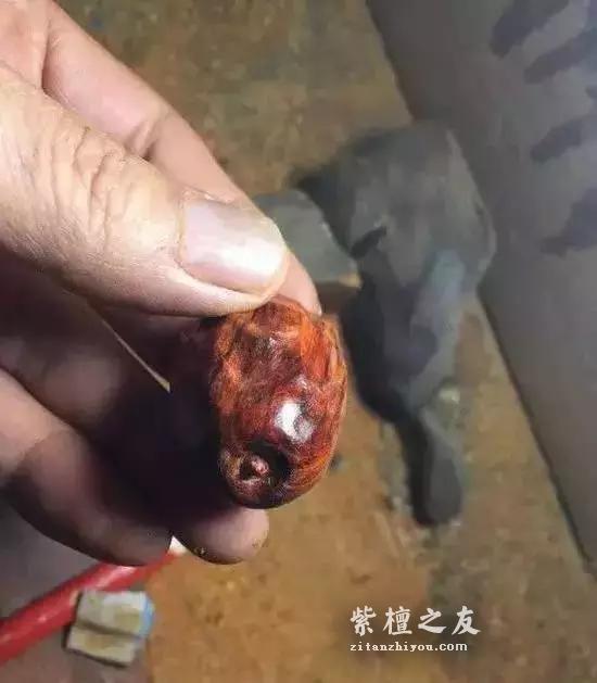 淘气玩家用紫檀边角料做成大枣送吃货朋友，差点儿崩掉牙！-5