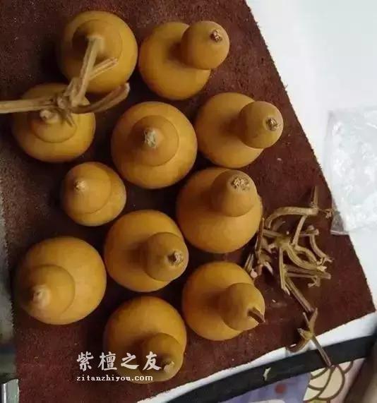 小葫芦加紫檀边角料，竟然能做出这么好看的手串-2