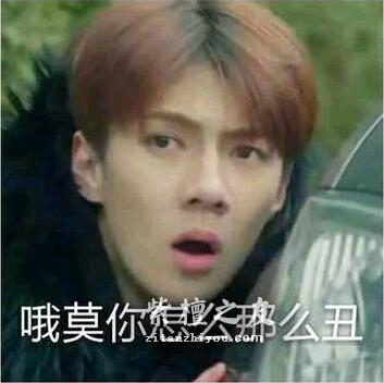 如何看待泥料紫檀的生长纹？-1