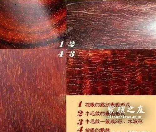 纯干货：小叶紫檀最全的18个鉴别方法！-1
