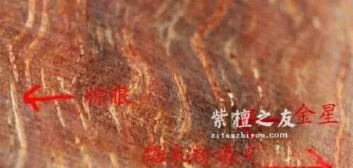 纯干货：小叶紫檀最全的18个鉴别方法！-2