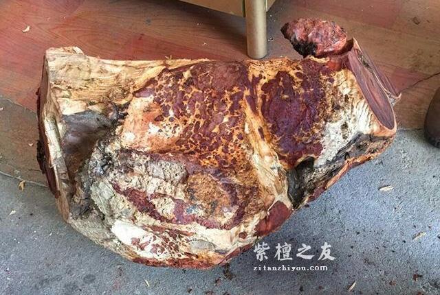 你知道紫檀木哪个部分材质最好吗？-2